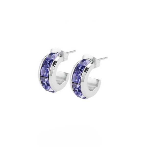 گوشواره برازوی مدل:BTJE03